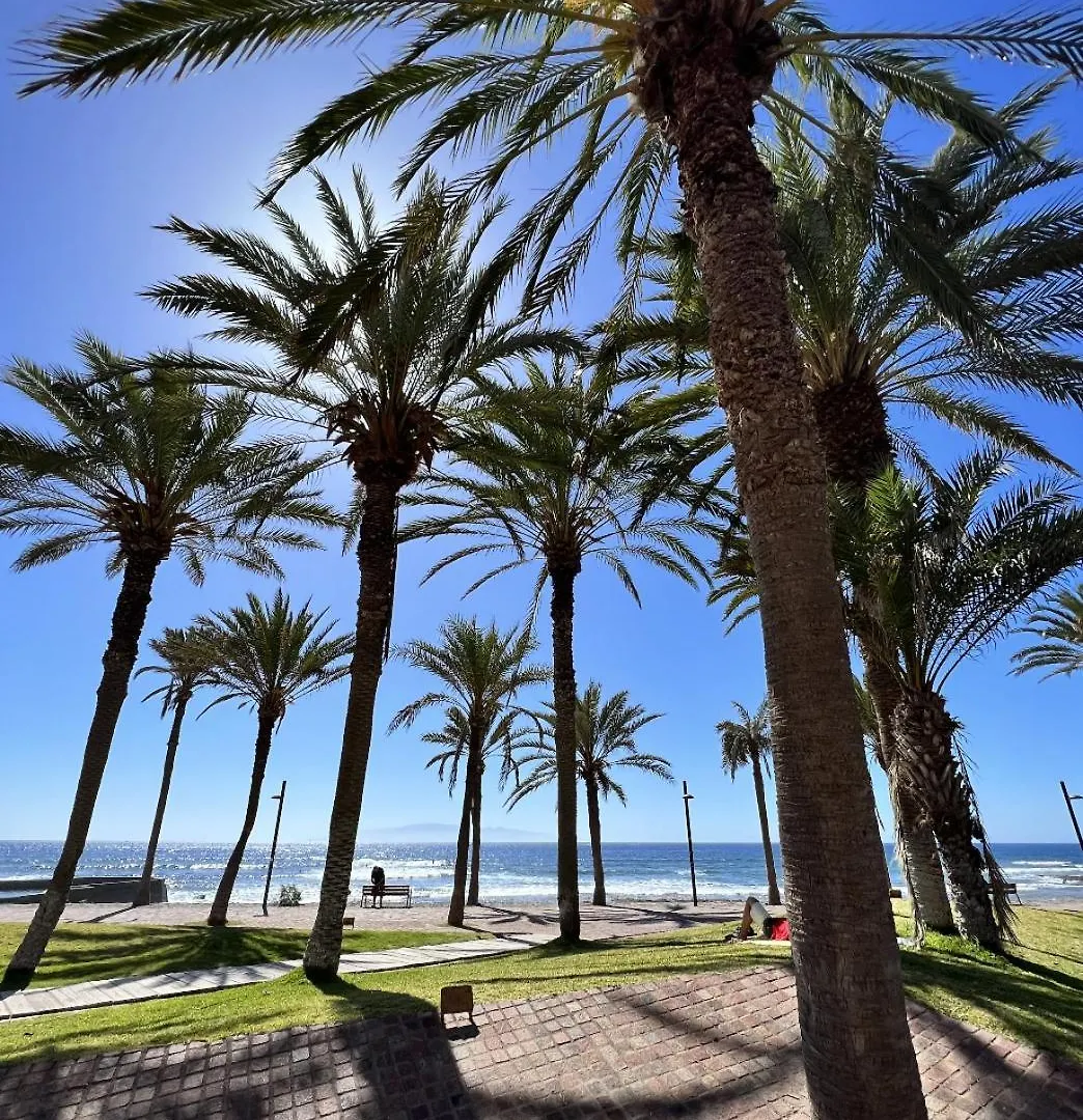 Apartment Patio Canario * Beach Escape / 2 Rooms, 2 Terraces & Pool Arona  Spain